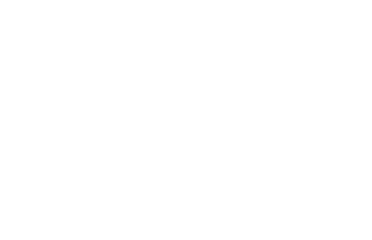 Lansas B.V. logo